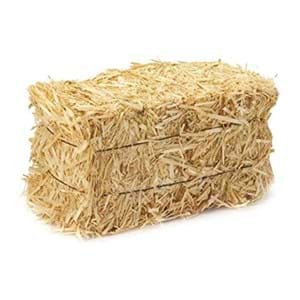 Hay/Straw Bale